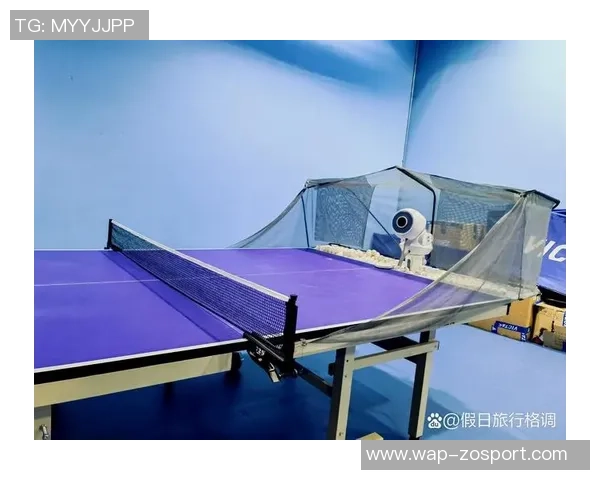 王娜独家分享乒乓球技巧与心得助你提升球技的秘诀与经验